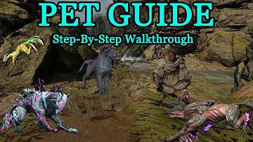 Ultimate Warframe Companion Guide: How to Get All Living Companions