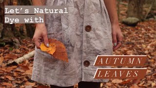 Let's Natural Dye with Autumn Leaves
