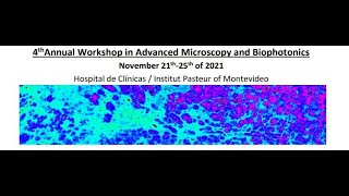 Lecture 4_Lorenzo Scipioni: Raster image correlation spectroscopy RICS and in vivo applications