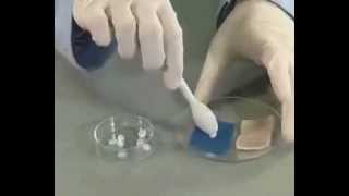 Vetitë Destruktive Të Hidroksidit Të Natriumit