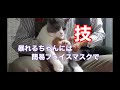 猫の爪切り プロの技を盗め！