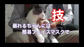 猫の爪切り プロの技を盗め！