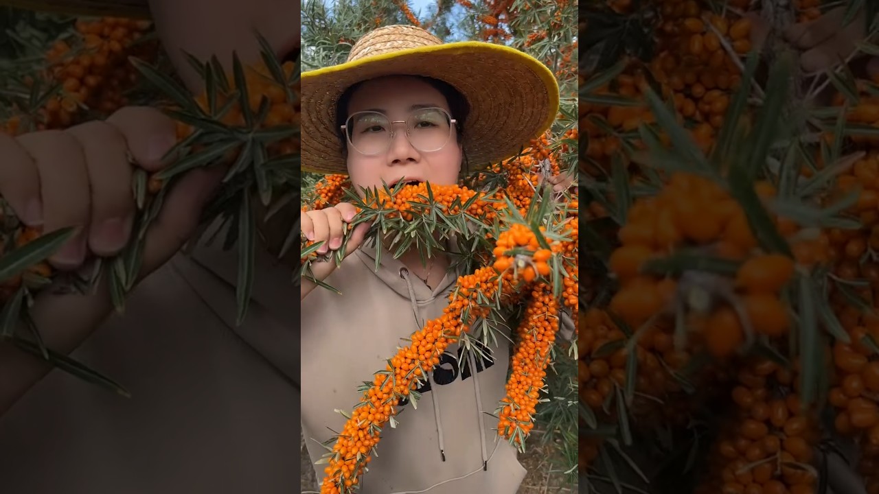 Original Title & Thumbnail