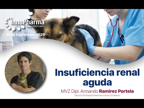 Video: Deficiencia De Fosfofructoquinasa En Perros