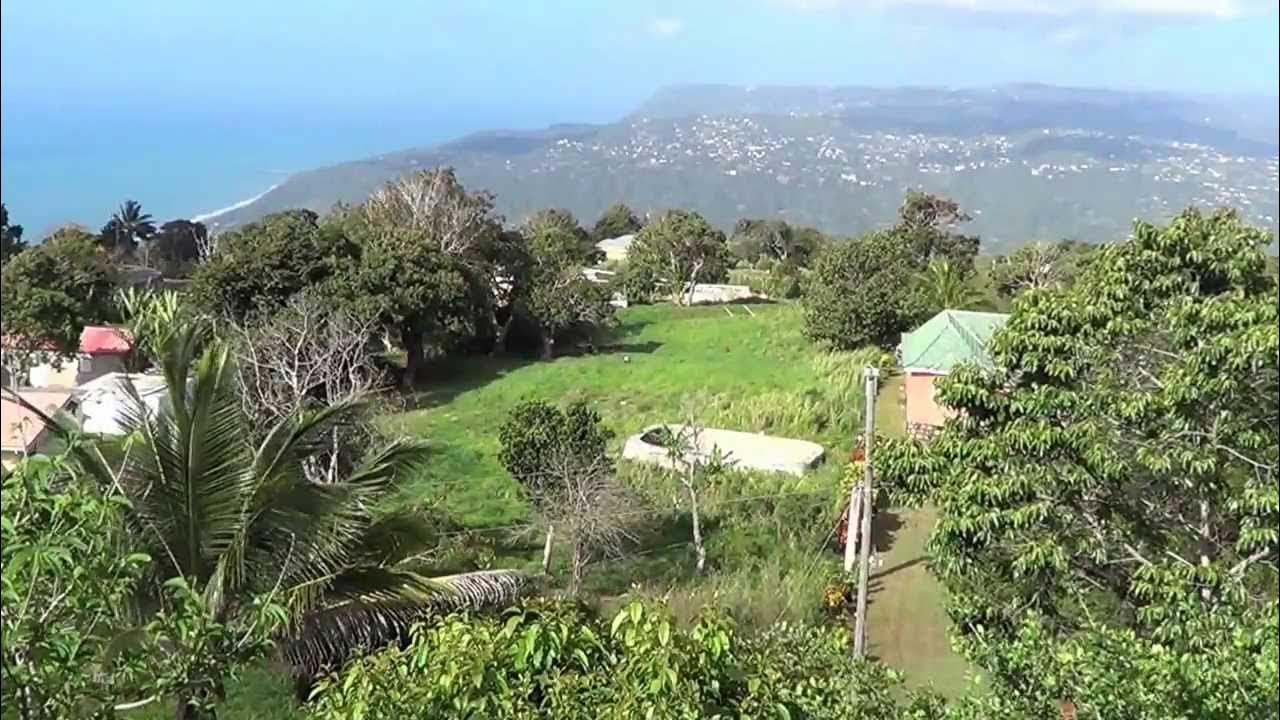 Jamaica's wealthy people YouTube