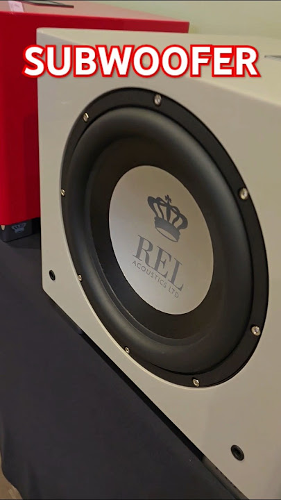 SUBWOOFER REL - Active BASS WOOFER SPEAKER BOX - 300W Amplifier