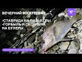 Вечерний ROCKFISHING. Ловля горбыля и скорпены на булеры. Ставрида на пилькеры. Рыбалка в Сочи