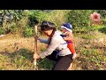 poor single mother carries her kid on her back as she goes into the forest to dig for bamboo shoots