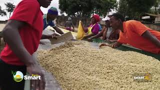 Dry & Wet Primary & Secondary Coffee Processing Methods.