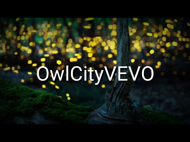 Fireflies|by: OwlCityVEVO|lyric class=