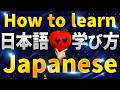 【THE ULTIMATE GUIDE】How to learn Japanese in the fastest way