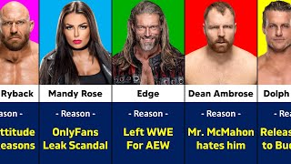 Real Reasons Wwe Fired These Wrestlers