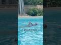 #gril #swimming #swimmin #gáixinh #swim #xuhuongtiktok #swimmingpool #xuhuongyoutube #dayboi #boi