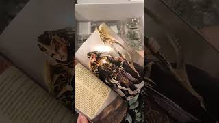 Распаковка игры Primal #boardgames #tabletopgames #unboxing #tabletop