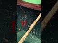 貝塚港　アタリの瞬間！　fishingmax　二色の浜店