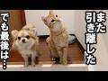 可哀想と言われた翌日、もう一度やってみた結果…
