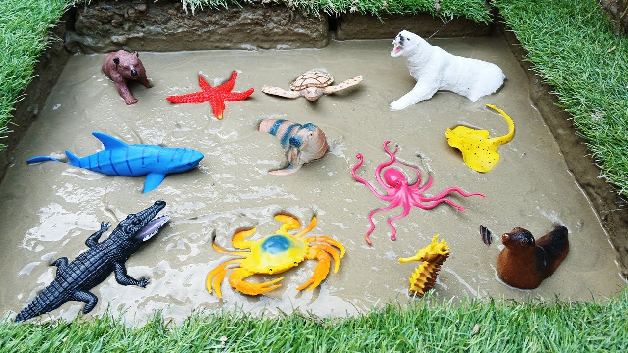 "Bears Unleashed: Mud, Sea Animals, and Wild Adventures" A Muddy Encounter with Sea Creatures