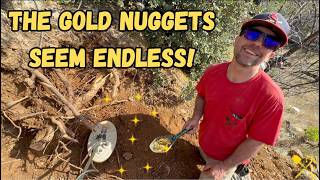 How Did The Old Timers Miss This? -- Metal Detecting for GOLD in California