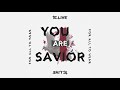 Your are savior ft andy curtis audio  tc3 live worship