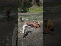 v87 Simulate Survival skills #Shorts