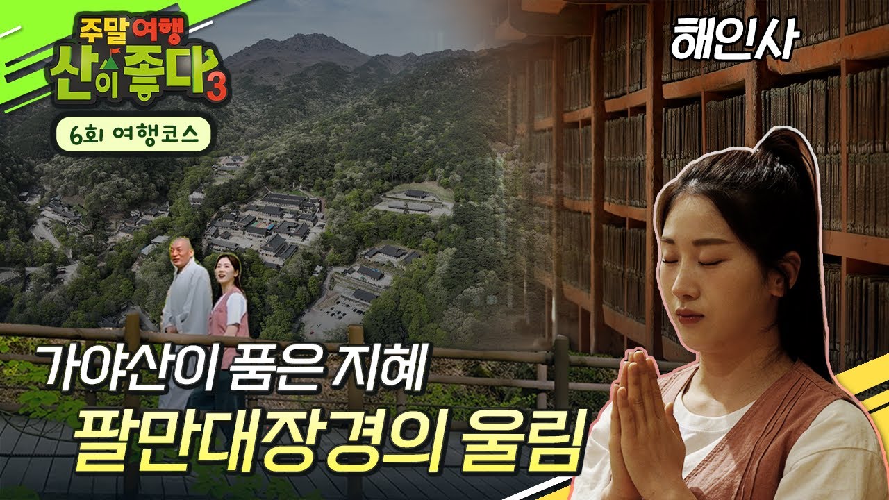 [6회 여행코스] 해인사, 천년 고찰의 길에 깃든 시간의 울림⛰️ #주말여행산이좋다3