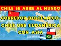 CHILE UNE ASIA CON SUDAMÉRICA: CORREDOR BIOCEÁNICO PARA COMERCIAR CON CHINA, ARGENTINA Y BRASIL
