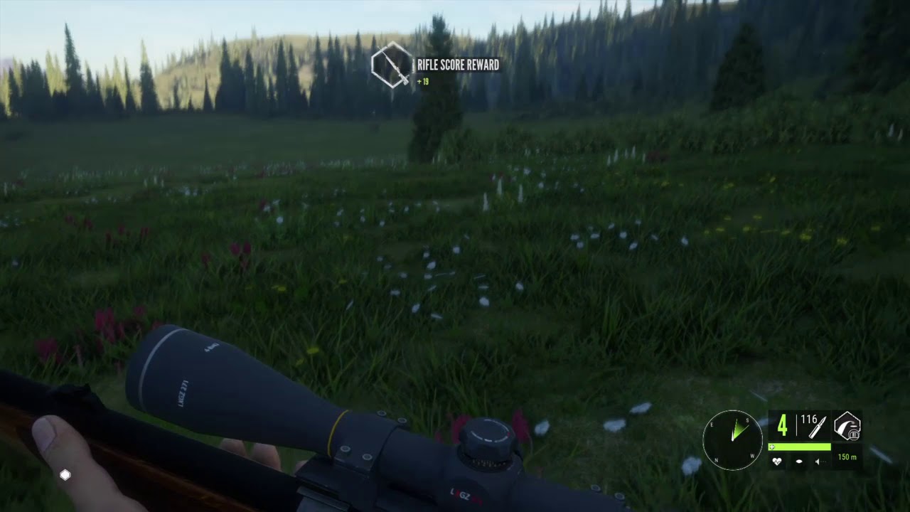 theHunter Call of the Wild How to get Mountain Lions YouTube