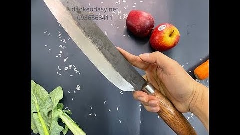 DAO BÀI THÁI HOÀNG TÙNG ĐA SỸ