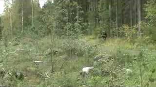 Renault 8 Gordini Autoglym Ralli 6.9.2008 Ek 3