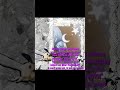 like moths are adorable #opinion #fypシ゚viral #rant #viral #moth #poodle moth #butterfly #insect