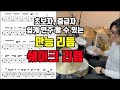 초보자도 쉽게 할 수 있는 쉐이크 리듬