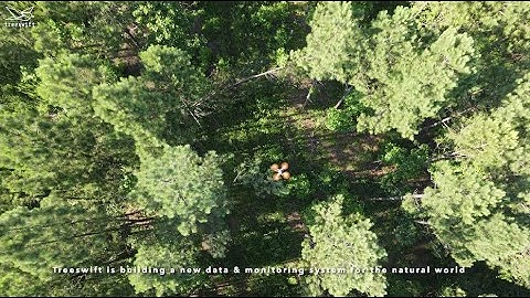 Treeswift: building forest inventories powered by robotics and AI