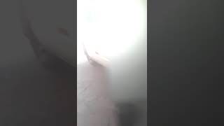 Fusiveis da van transit screenshot 3