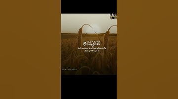 فلينظر الإنسان إلى طعامه-تلاوة مؤثرة