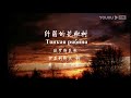 俄罗斯民歌《纤弱的花楸树》"Тонкая рябина" - 中文版