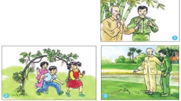 kể chuyện theo tranh lớp 2 tuần 31 chiếc rễ đa tròn