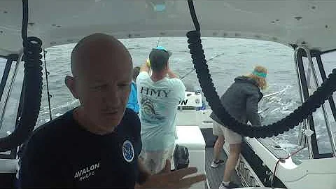 2021 Interclub Port Stephens - Live Baiting Small ...