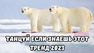 💗ТАНЦУЙ ЕСЛИ ЗНАЕШЬ ЭТОТ ТРЕНД 2023💗