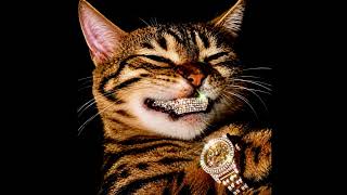 TRAP TYPE BEAT - "CAT" | FREESTYLE BEAT | HARD BOUNCY TYPE BEAT | FREE RAP INSTRUMENTAL 2026