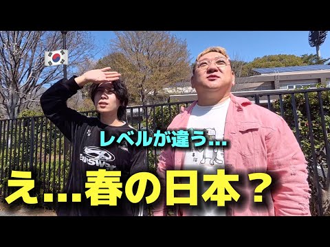 え…これが春の日本？初めての公園で韓国人が感動した理由