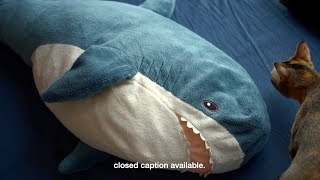 🦈 IKEA Shark - Can he be washed? Now in 4K screenshot 5