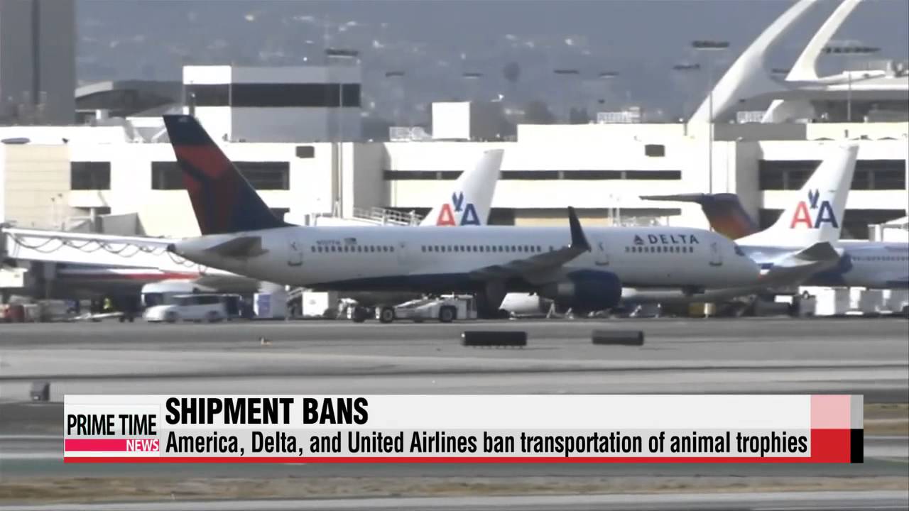 Delta and United join list of companies to cut ties with the NRA