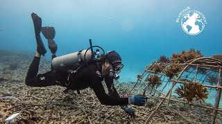 Conservation around Fregate Island Trailer – Blancpain