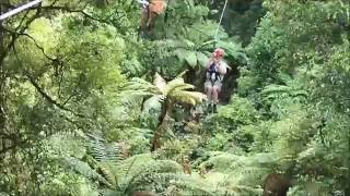 Rotorua Canopy Tour