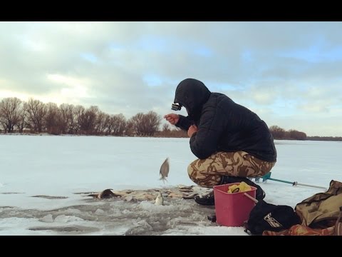 Рыбалка на льду. Зимняя рыбалка. Попал на густеру.