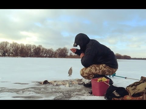 густера фантастическая рыбалка