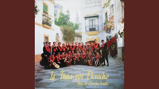 Video thumbnail of "Tuna de Derecho de Sevilla - Compostelana"