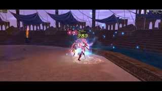 a17 dual vs dual last fight dekaron 2014 11 02 15 48 47 735