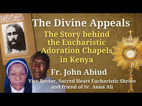 The Divine Appeals International Online Meeting with Fr. John Abiud - Friend of Sr Anna Ali