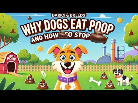 Why Does My Dog Eat Poop? Understanding and Stopping Coprophagia